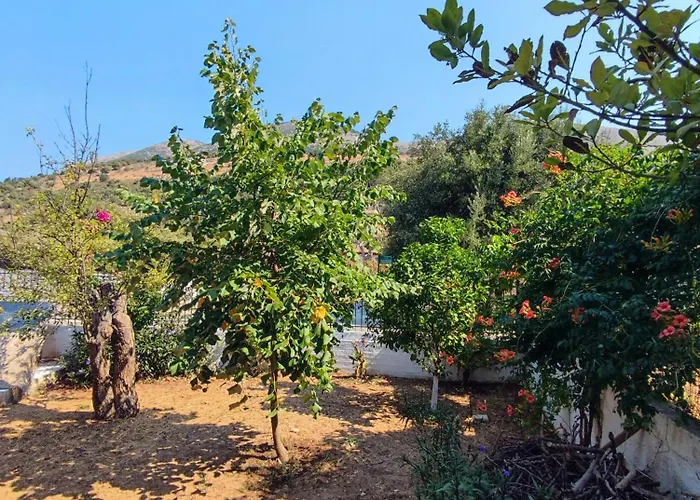 το σπίτι με τις βουκαμβίλιες